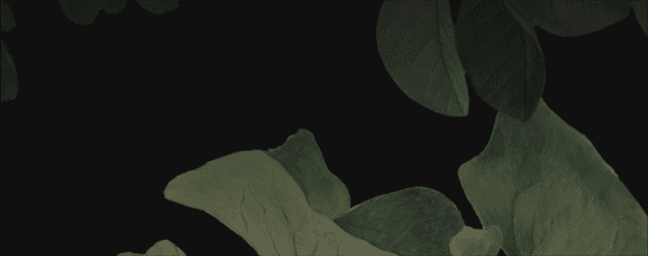 grove network background